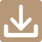 Download Icon